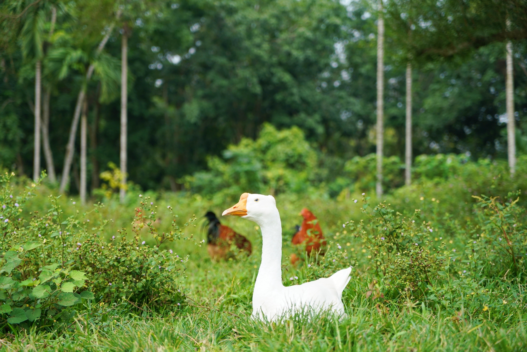 尊龙集团 (中国区)官方网站