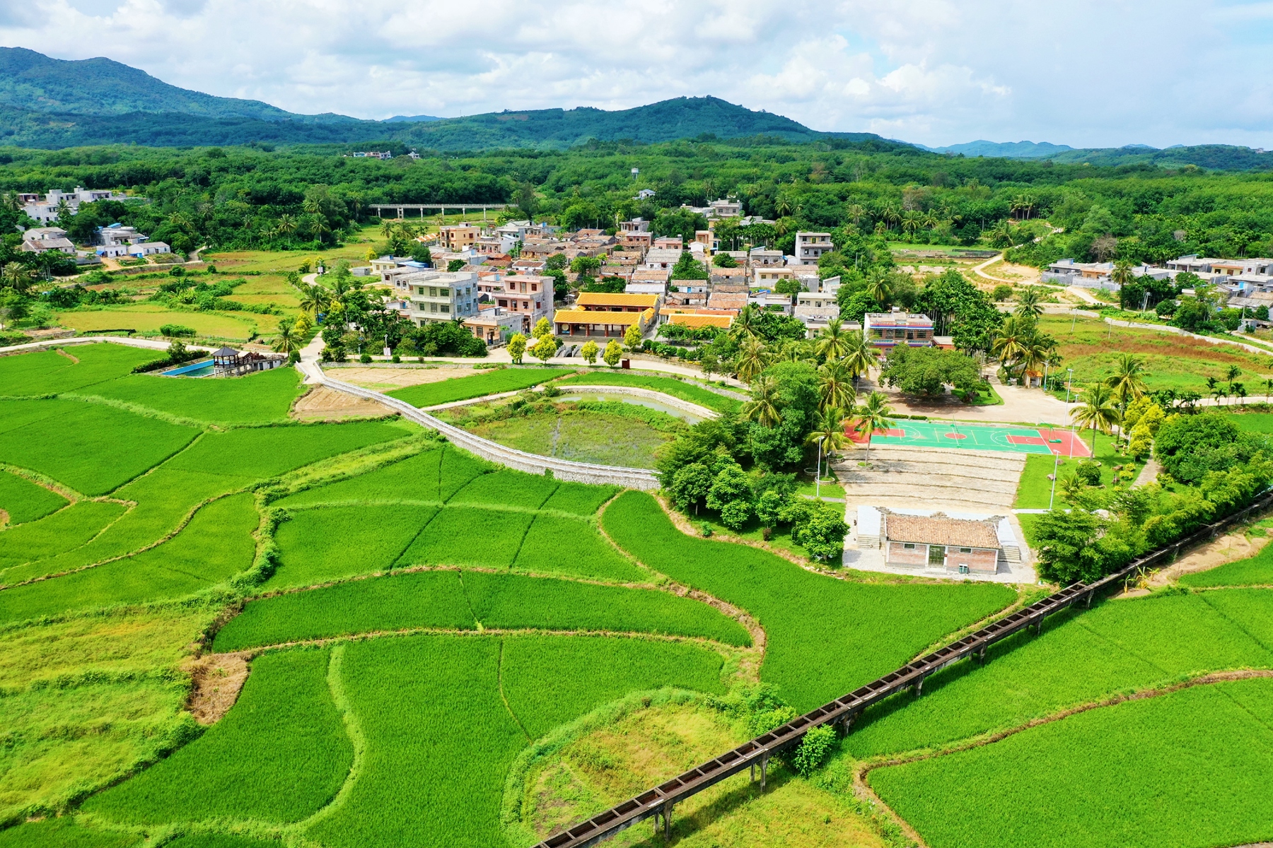 尊龙集团 (中国区)官方网站