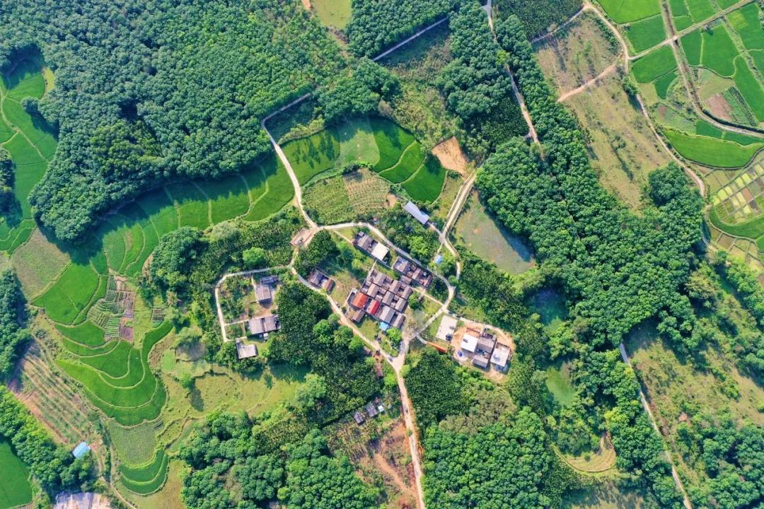 尊龙集团 (中国区)官方网站